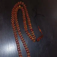 سندلوس 101عددی کهنه