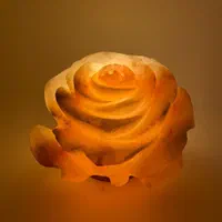 چراغ خواب (آباژور) سنگ نمک|چراغ خواب و آباژور|شیراز, کاراندیش|دیوار