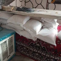 برنج هاشمی پا بلند درجه ۱