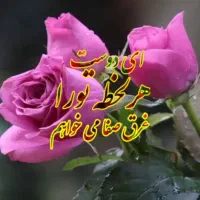 فن بیان، نویسندگی، تدریس کاربردی همه سنین