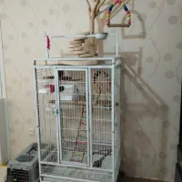 قفس پرنده