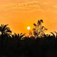 زمین تجاری مسکونی