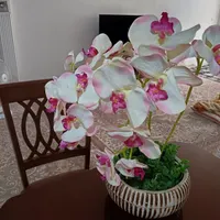 گل مصنوعی|گل مصنوعی|نیشابور, بنیاد شهید|دیوار