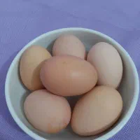تخم مرغ محلی