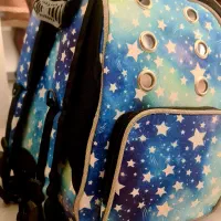 کیف گربه و سگ و پرنده|لوازم جانبی حیوانات|قم, پردیسان|دیوار