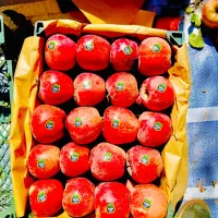 سردخانه است|خوردنی و آشامیدنی|قزوین, |دیوار