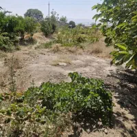 باغ دلیجان زیر اداره برق|فروش خانه و ویلا|دلیجان, |دیوار