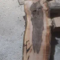 فروش چوب اسلب گردو|عمدهفروشی|اسکو, |دیوار