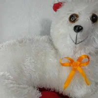 فروش چند عروسک|اسباب‌‌بازی|خرم‌آباد, |دیوار