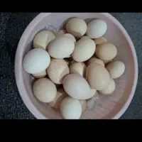 تخم مرغ ولایتی