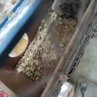 فروشی جفتی ۵۰۰|پرنده|شهرضا, |دیوار