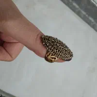 عینک|زیورآلات و اکسسوری|بهارستان, |دیوار