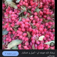 زرشک تازه