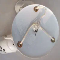 سر پیچ سقفی دو شاخه و سه شاخه|لوستر و چراغ آویز|رشت, بازار|دیوار