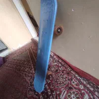 اسکیت برد