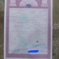 مجوز مرغداری تخم گذار