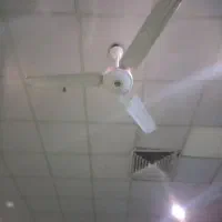 پنکه سقفی