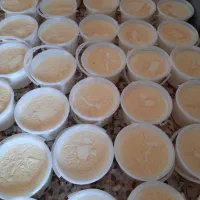 شراکت مغازه لبنیات محلی