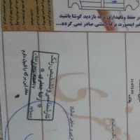 تیبا دوگانه شاسی پلمپ|خودرو سواری و وانت|گرگان, |دیوار