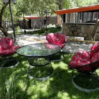 سرآشپز ماهر