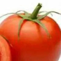 ابگیری سیار