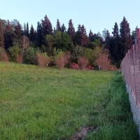 فروش-1605-زمین-وصل-جنگل-مجوزدار