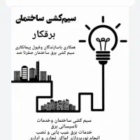 برقکار/ برقکارحرفه‌ای