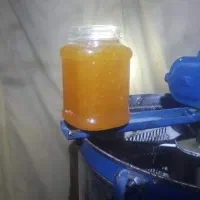 نمایشگاه عسل چندگیاه . عسل گون آویشن .عسل کنار|خوردنی و آشامیدنی|اهواز, بهارستان|دیوار