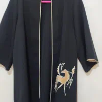 تعدادی لباس شیک مجلسی|لباس|اهواز, کیانشهر|دیوار