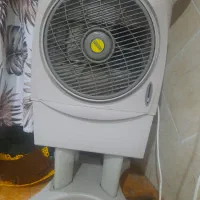 بخاری و اینه