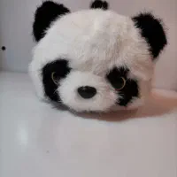 عروسک دوقلوی پاندا و راکون|اسباببازی|شیراز, شهرک مدرس|دیوار