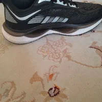 با سلام  دوهفته کفش شماره ۴۲