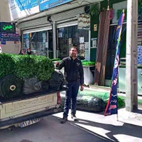 چمن مصنوعی|مصالح و تجهیزات ساختمان|تاکستان, |دیوار