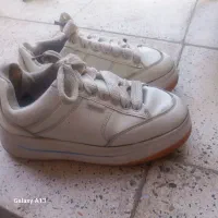 کفش|کیف، کفش، کمربند|بیرجند, |دیوار