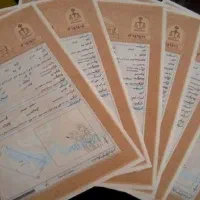 اخذ سند تک برگ صفرتاصد