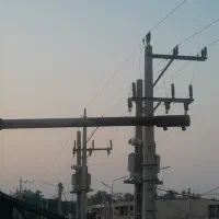 داربست بندی