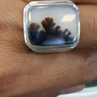 شجر منظره قائنات