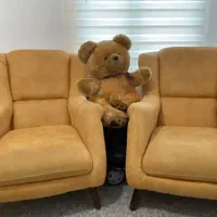 دو عدد مبل تکی|مبلمان خانگی و میز عسلی|جم, |دیوار