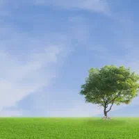 برطرف شدن مشکلات