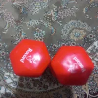 دنبل|تجهیزات ورزشی|اسلام‌شهر, شهرک امام حسین (میان آباد)|دیوار