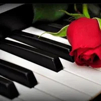 آموزش ارگ پیانوبلز و آواز آنلاین وحضوری|خدمات آموزشی|شیراز, درکی|دیوار