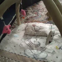 تشک بازی