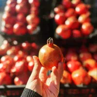 آب زرشک انار انبه آلوبخارا زغال اخته آبمیوه طبیعی|عمدهفروشی|تهران, صادقیه|دیوار