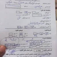 گاو آبستن|حیوانات مزرعه|ماهیدشت, |دیوار