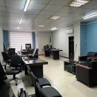 خانم با تخصص در امور کامپیوتر  با شرایط ویژه