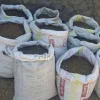 کود گوسفندی حیوانی|خدمات باغبانی و درختکاری|زنجانرود, |دیوار