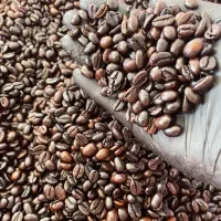 استخدام بازاریاب|استخدام بازاریابی و فروش|نیشابور, شهرک فیروزه|دیوار