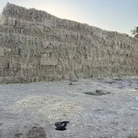 پرس کاه برنج سایز بزرگ