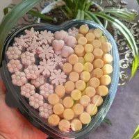 قندهای گیاهی، تزئینی و نبات های دمنوشی|خوردنی و آشامیدنی|تهران, وحیدیه|دیوار