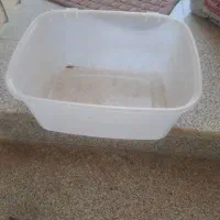 باکس حلزون یا قارچ